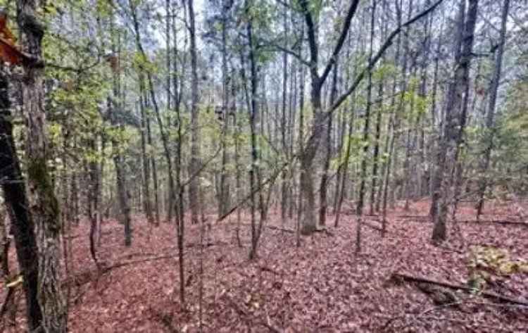 Land For Sale in Mississippi