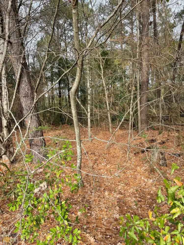 Land For Sale in McDonough, Georgia