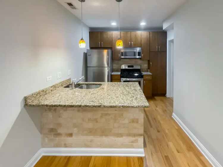 2 Bed 1 Bath Rehabbed Apartment Near Addison Brown Line