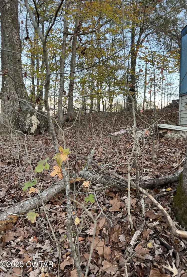 Land For Sale in 39, Dr Fisher Cove, Tennessee