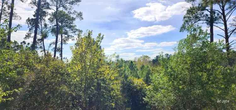 Land For Sale in 141, Mahalua Lane, Bastrop, Texas