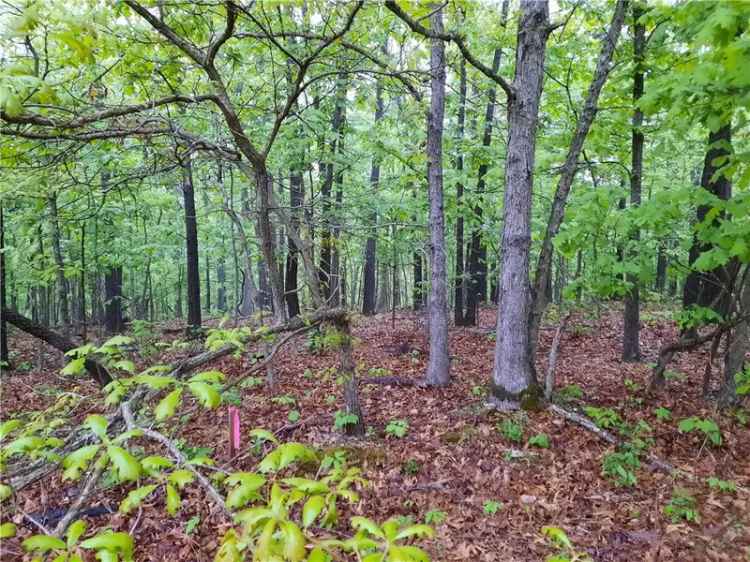 Land For Sale in Bella Vista, Arkansas