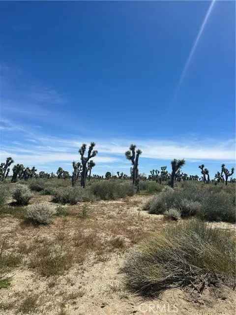 Land For Sale in Piñon Hills, California