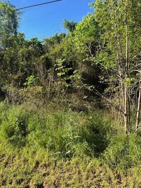 Land For Sale in 171, Kahana Lane, Texas