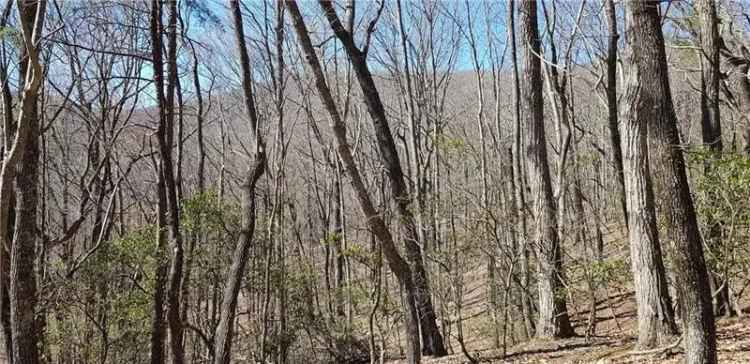 Land For Sale in Georgia