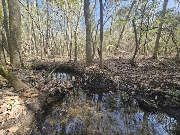 Land For Sale in Poplarville, Mississippi