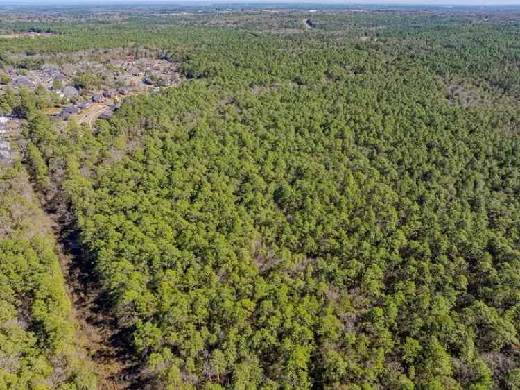 Land For Sale in Belle Fontaine, Alabama