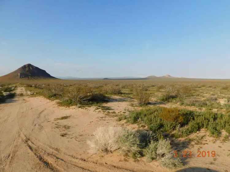 Land For Sale in California City, California