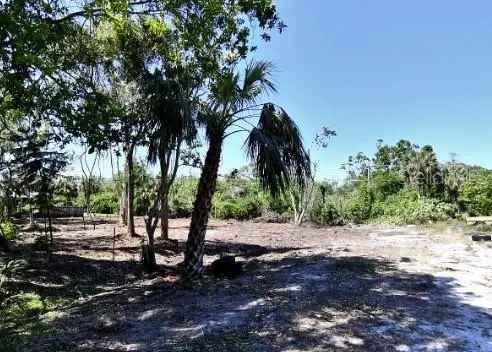 Land For Sale in South Venice, Florida