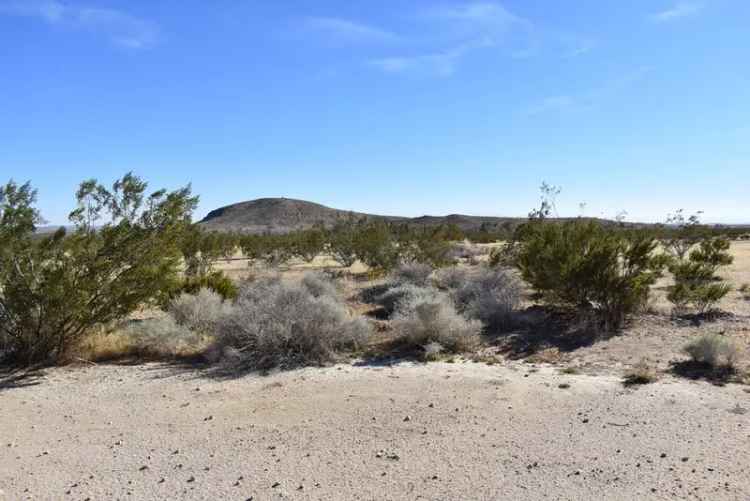 Land For Sale in California City, California