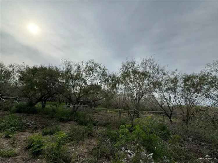 Land For Sale in Edinburg, Texas