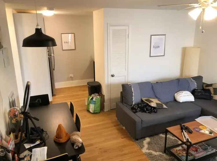 Ravenswood Apartment - Gut Rehab with Patio and In-Unit Laundry