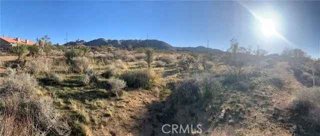 Land For Sale in 60300, Alta Mesa Drive, Joshua Tree, California