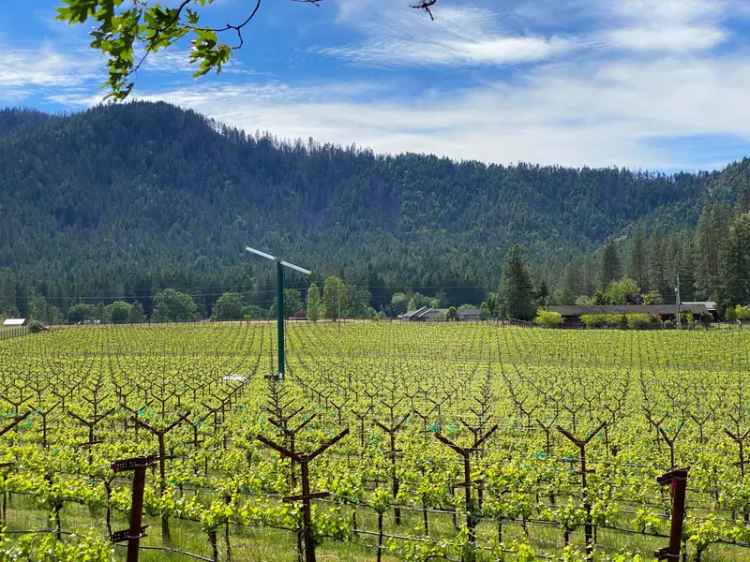 Land For Sale in 175, Quail Lane, Oregon