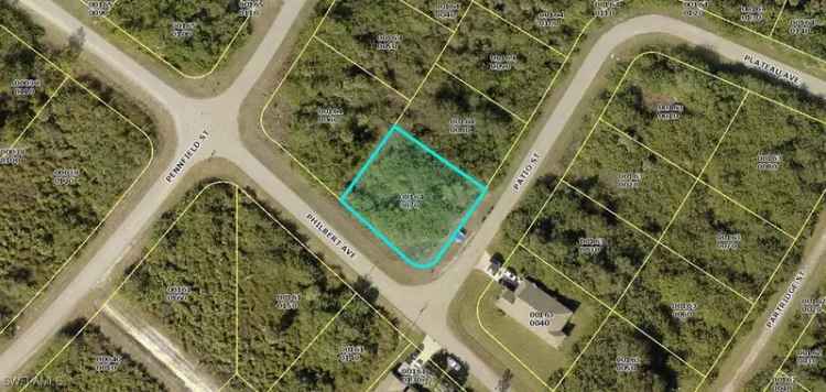 Land For Sale in Lehigh Acres, Florida