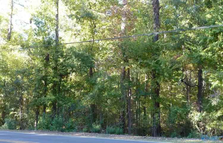 Land For Sale in Decatur, Alabama