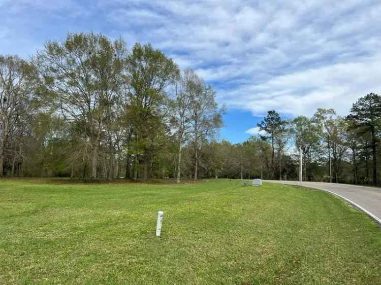 Land For Sale in Picayune, Mississippi