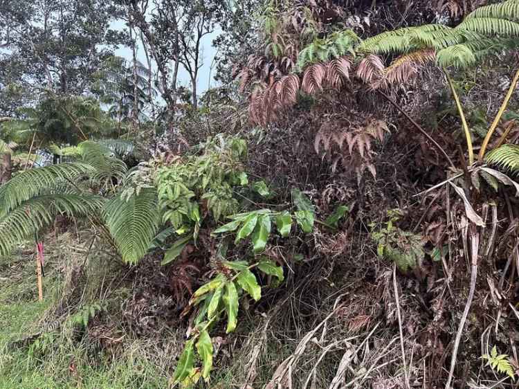 Land For Sale in Volcano, Hawaii