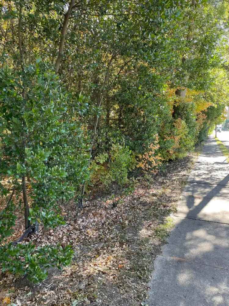 Land For Sale in McDonough, Georgia