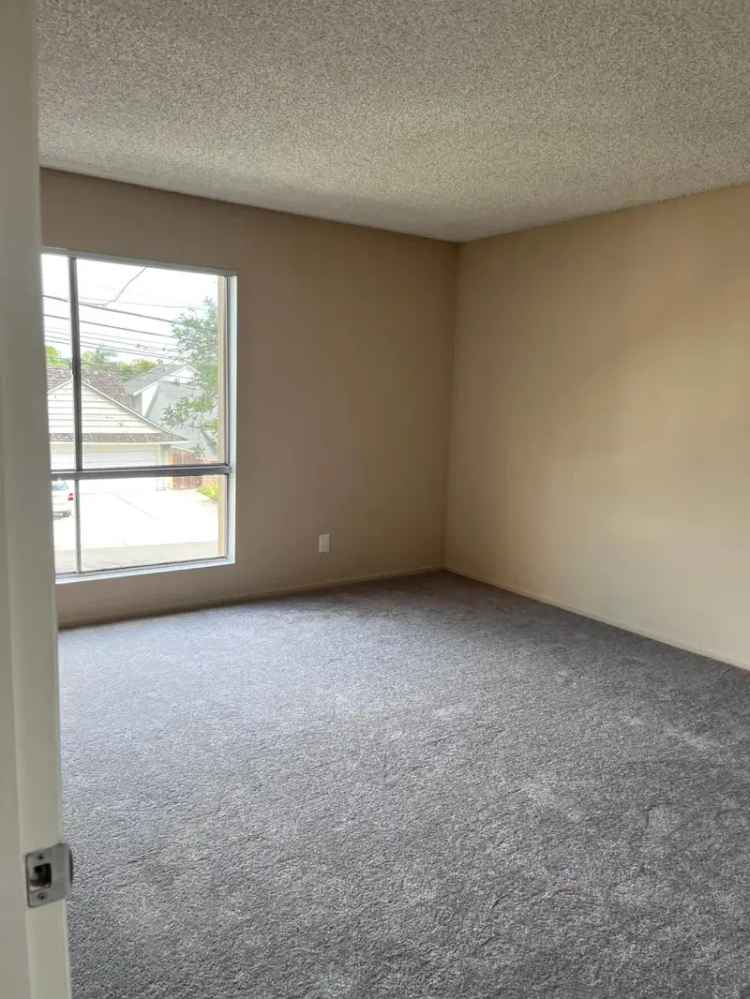 Apartments for Rent