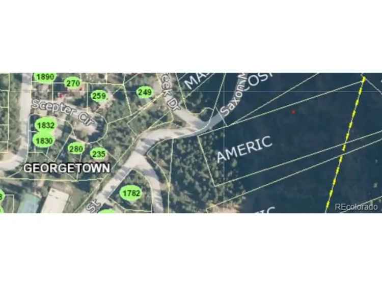 Land For Sale in Georgetown, Colorado