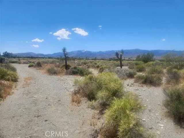 Land For Sale in Piñon Hills, California