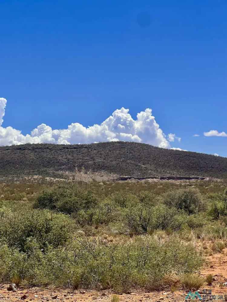 Land For Sale in New Mexico