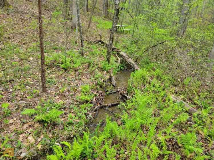 Land For Sale in East Ellijay, Georgia