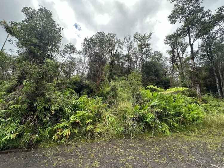 Land For Sale in Mountain View, Hawaii