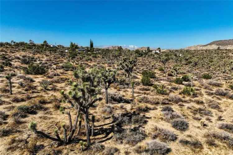 Land For Sale in 56325, Skyline Ranch Road, Yucca Valley, California