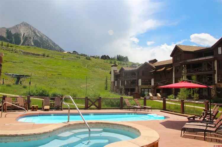 Condo For Sale in Mount Crested Butte, Colorado