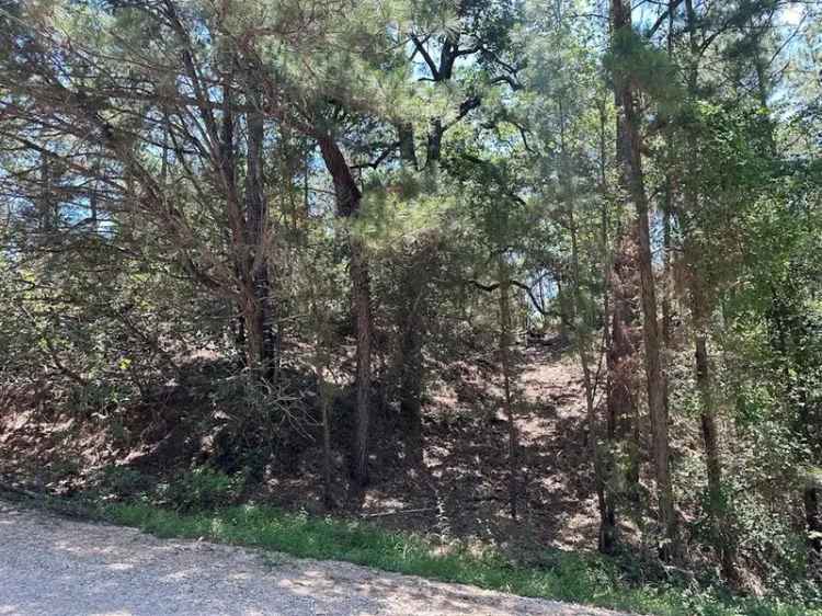 Land For Sale in 111, Molokini Drive, Texas