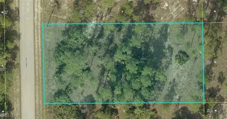 Land For Sale in 1116, Leroy Avenue, Florida