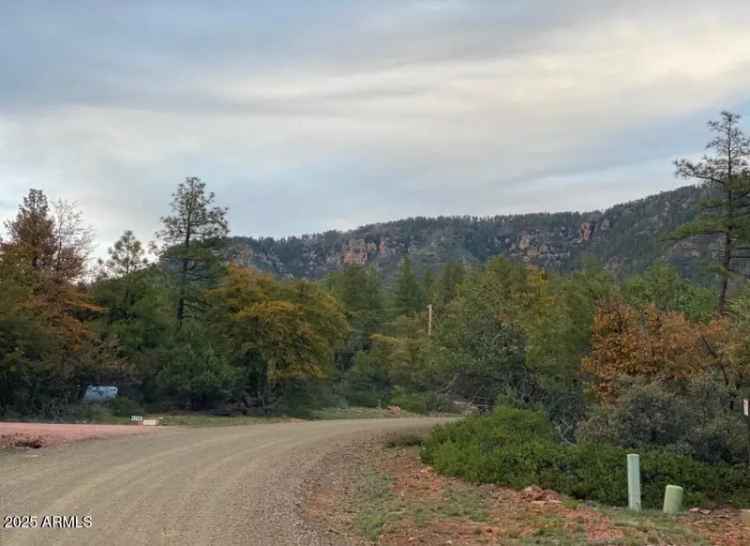 Land For Sale in Pine, Arizona