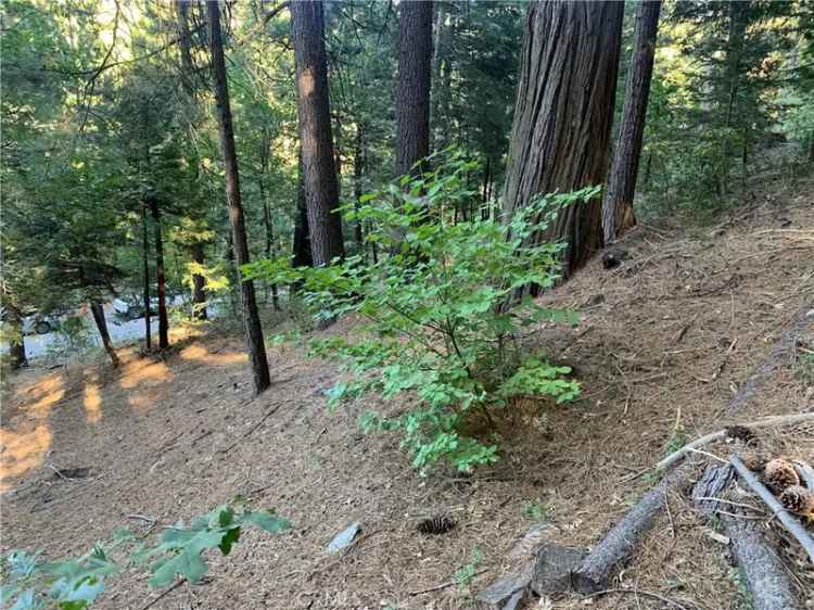 Land For Sale in Twin Peaks, California