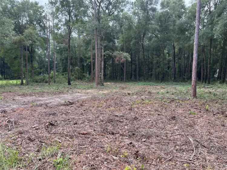 Land For Sale in Ocala, Florida