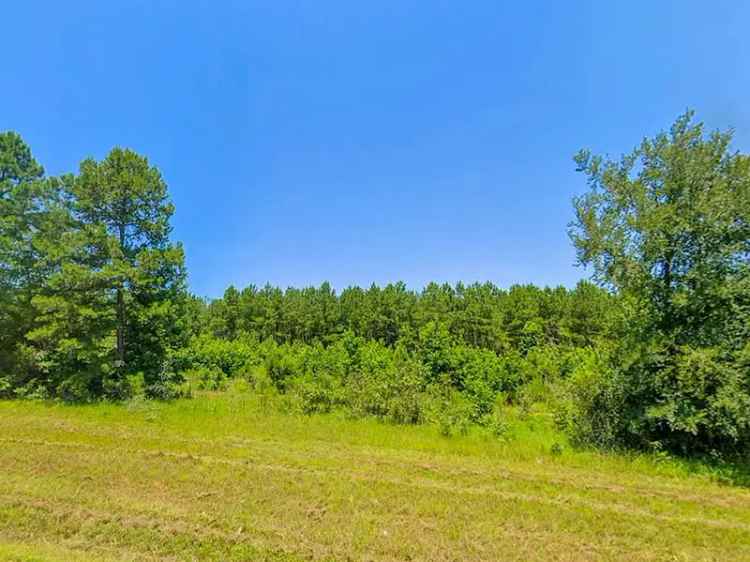 Land For Sale in Tyler, Texas