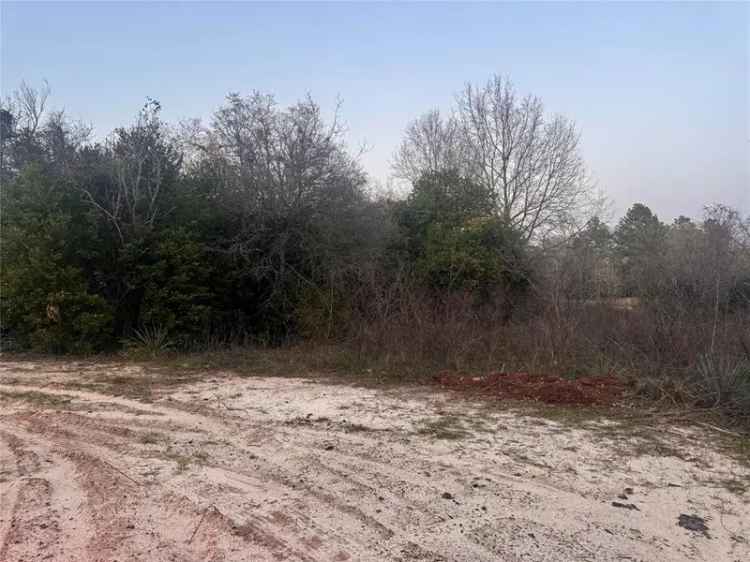 Land For Sale in 1014, North Pinkerton Street, Athens, Texas