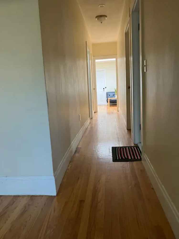 Allston Brighton Brookline Apartment Unit for Rent