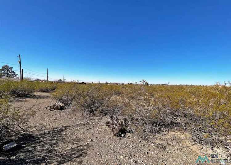 Land For Sale in Alamogordo, New Mexico