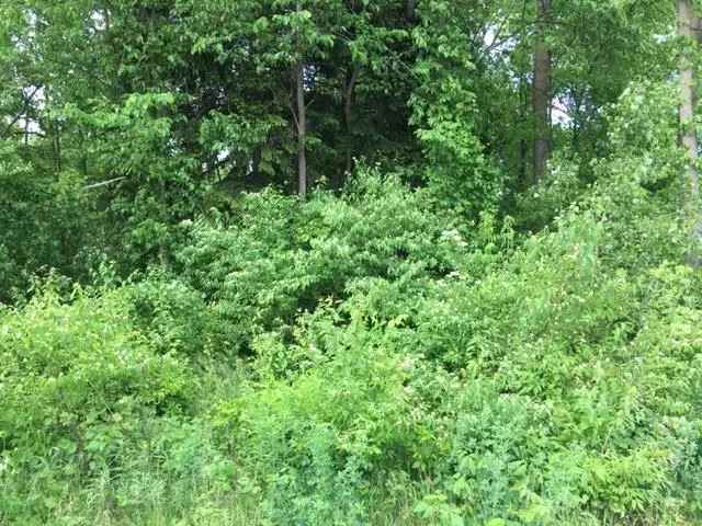 Land For Sale in 14035, McKinley Highway, Mishawaka, Indiana