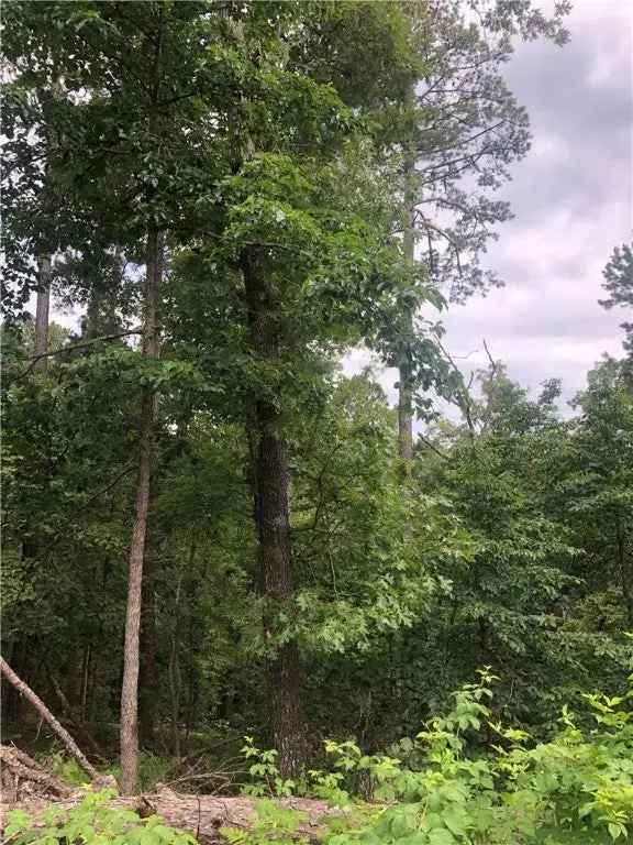 Land For Sale in 21, Fleetwood Drive, Bella Vista, Arkansas