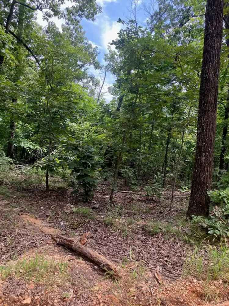 Land For Sale in Arkansas