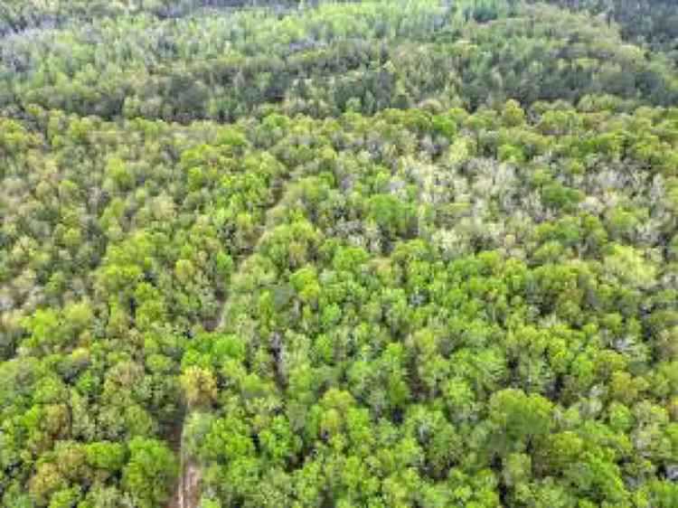 Land For Sale in South Carolina