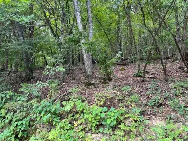 Land For Sale in Arkansas