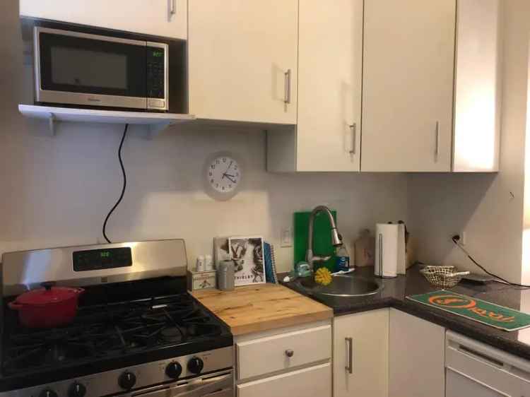 Remodeled 1-Bed Apartment Near Damen Brown Line