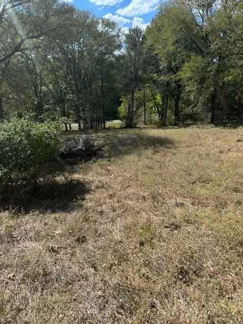 Land For Sale in 517, Tahitian Drive, Bastrop, Texas