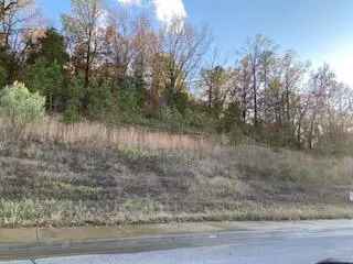 Land For Sale in Clarksville, Arkansas