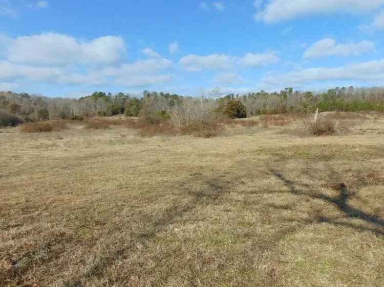 Land For Sale in Clarksville, Arkansas