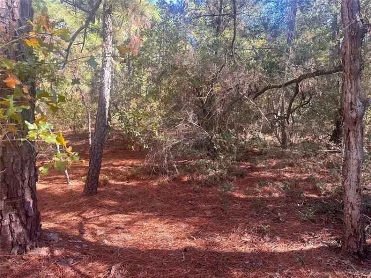 Land For Sale in Bastrop, Texas